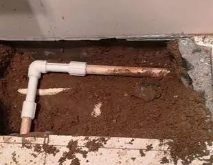 福州测漏水哪家好